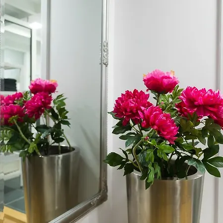 Trzaska Duplex Urban Διαμέρισμα *